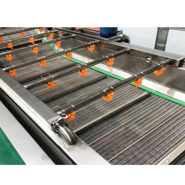 Máquina de limpeza automática industrial da lavagem do vegetal e do fruto para a salada do tomate