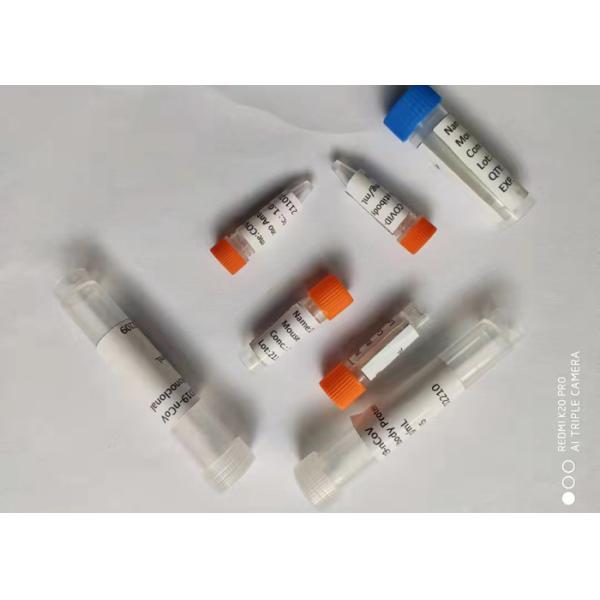 Марихуана моноклонального антитела мыши Anti-K2 Анти--синтетическая