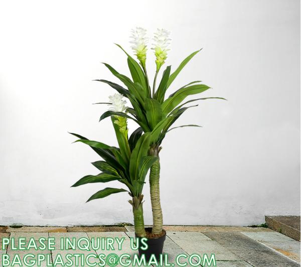 Dracaena Silk Plant Artificial 5ft Faux House Plants Evergreen Dracaena Marginata Fake Yucca Palm Trees in Pot