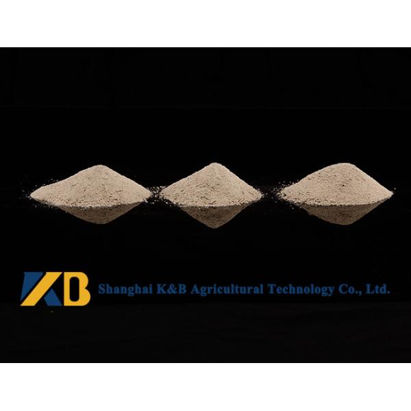 Animal Nutrition Supplements / White Rice Protein Powder High Biological Value