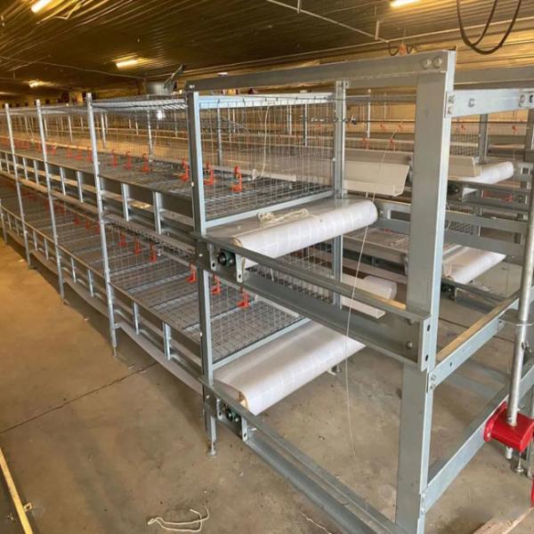 Farming Coop Broiler Chicken Cage Animal Husbandry Equipment