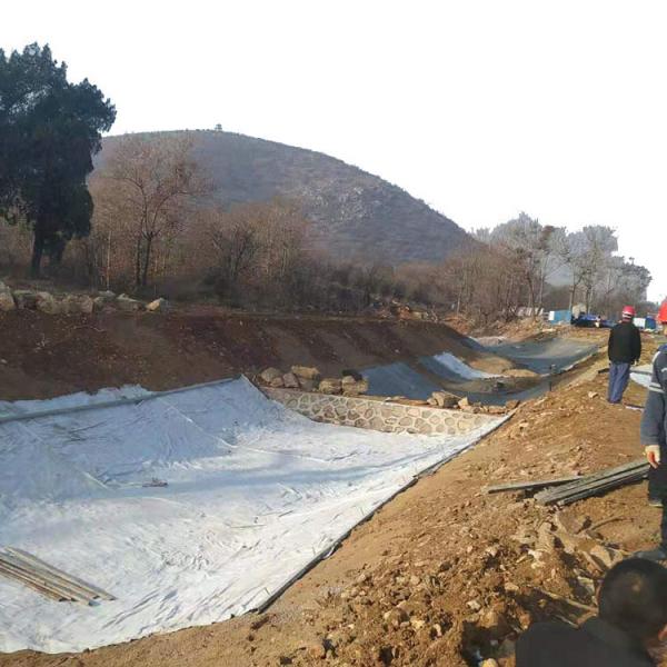 Anti-Leakage Waterproof Geosynthetic Clay Liner Made in for Municipal Water Conservancy