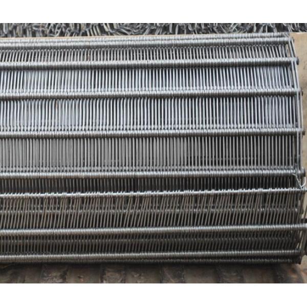 Ранг Сс звеньевого шарнирного ремня 304 транспортера ячеистой сети соединения петли Эйелинк нержавеющей стали