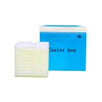 Boîte de contrôle de température pour médicaments, vaccins, chaînes à froid, transport, isolation