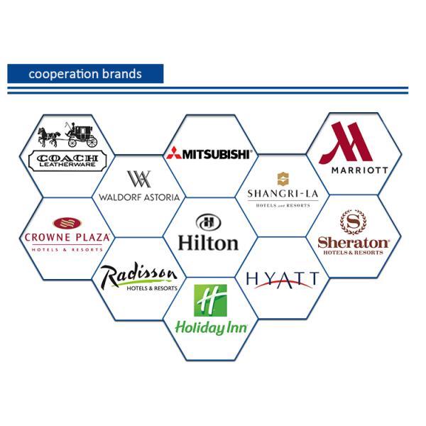 7mm Pile Height Axminster Carpet for Hotel and Cinema Flooring Solution