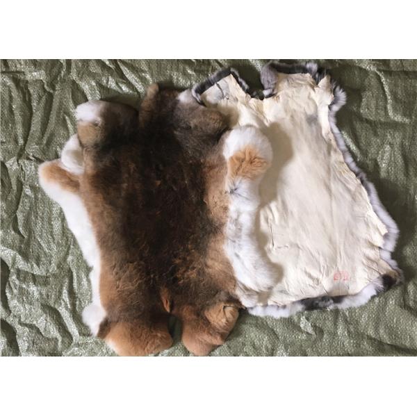 Piel caliente Winderproof del conejo de Rex del super suave para hacer la manta de la ropa/del conejo