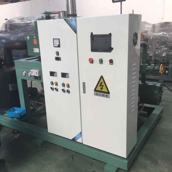 Chinese Manufactory Low Temperature  Single Screw Compressor Condensing Unit
