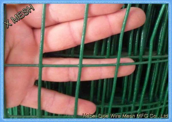Electric Galvanized Welded Wire Mesh 0.8mm Wire Thickness*1.5m Height