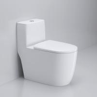 Chine Fabricant Salle de bains Sanitaires Blanc Glacé Siphonic Washdown Toilette en une pièce