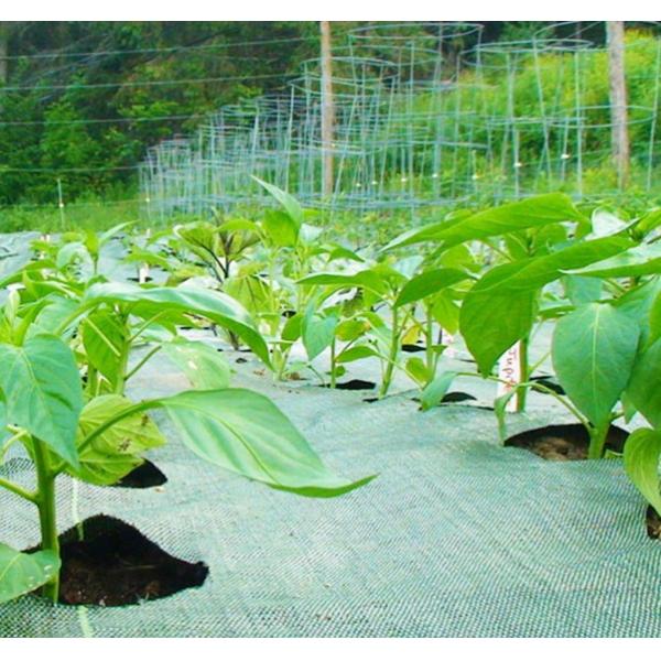 PP PET Woven Geotextile Road Stabilization Fabric 20-1000KN High Strength