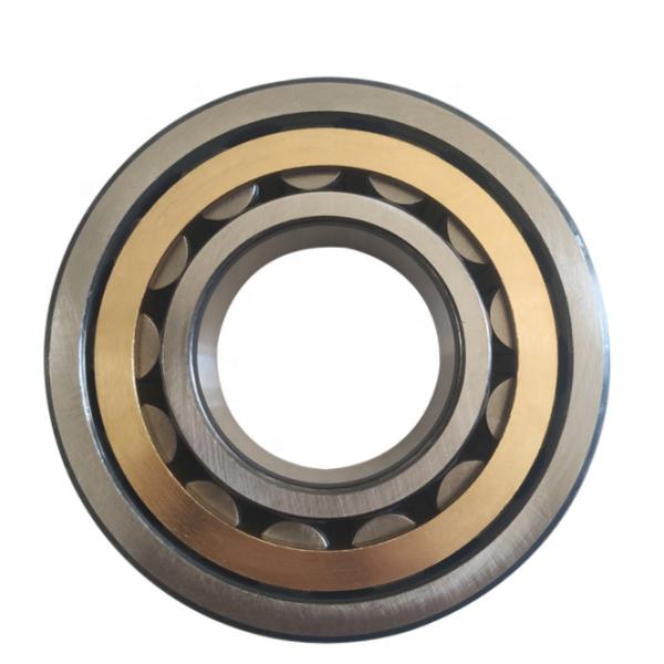 SL045018PP NNF 5018 ADA-2LSV 90*140*67mm Double Row Cylindrical Roller Bearing For Sheaves