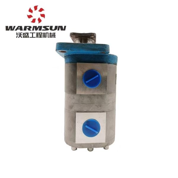 Steering Pump Manufacturer A220301000219 QC25+2515-SY Steering Oil Pump for Sy Pump Crane Spare Parts