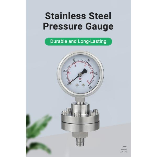 2.5 Precision Pressure Gauge with ZG1/4 Threaded Connection Diaphragm Seal Manometer