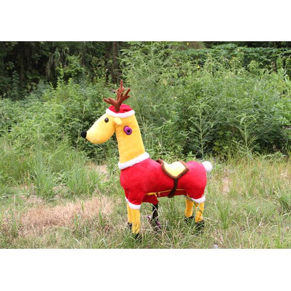 Mixed batch cartoon toy car / pedal car Fitness Toys / Gema manufacturers