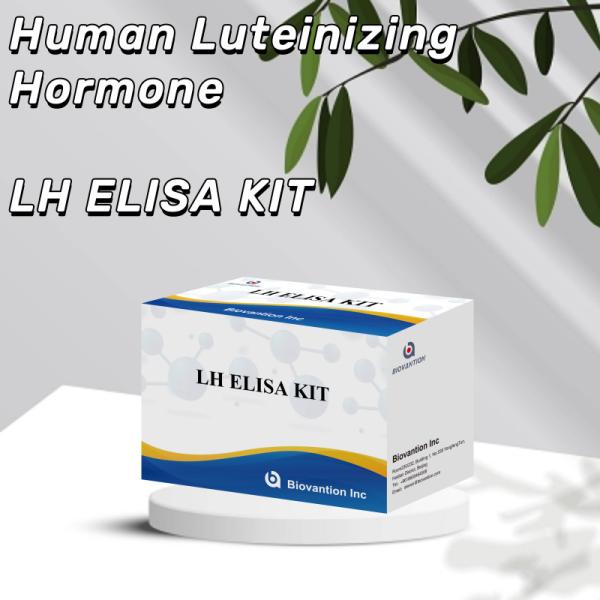 Biovantion ELISA Test Kit for diagnosis Human Luteinizing Hormone LH (Quantitative) hormones detect