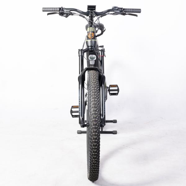 OEM Carbon Fiber MTB 29inch Electric Mountain Bike with 1000W Power and DPC-18 Display