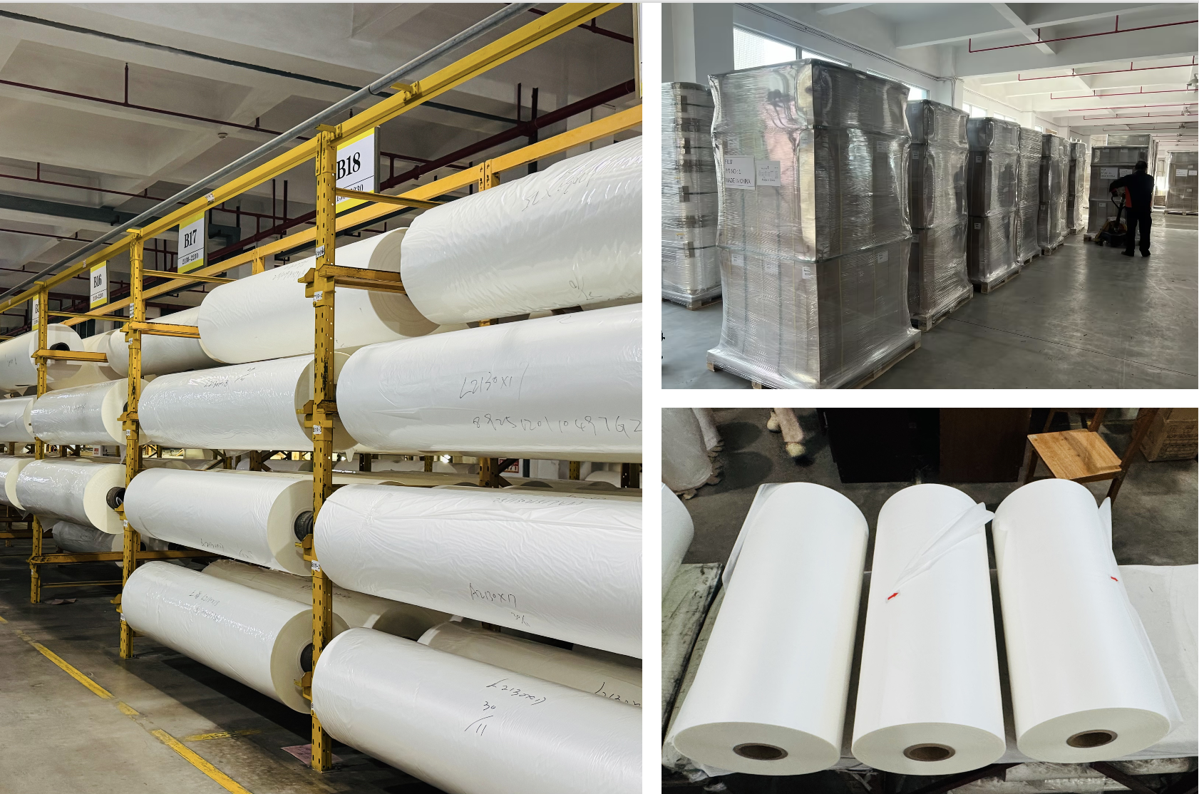 Food Grade Glossy Finish Biodegradable Laminating Film Roll with Thermal Adhesive for Professional Use