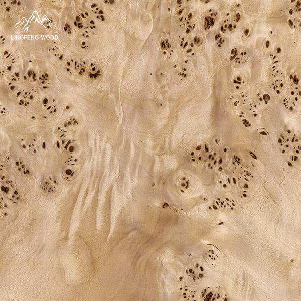 Mappa Burl Veneer 0.5mm | LINGFENG