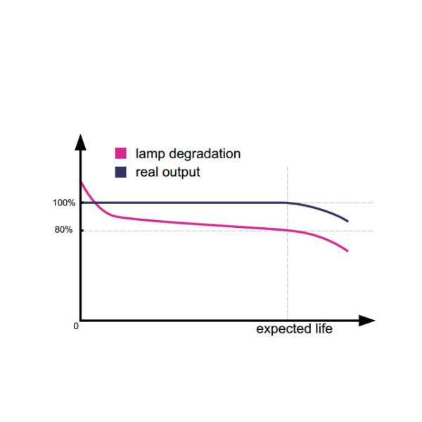 Vertical IPL Hair Removal Machine For Female Stationary Model 12 Hours Non Stop Flashing