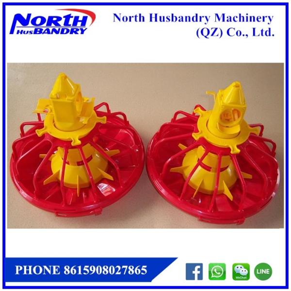 Automatic Poultry Equipment