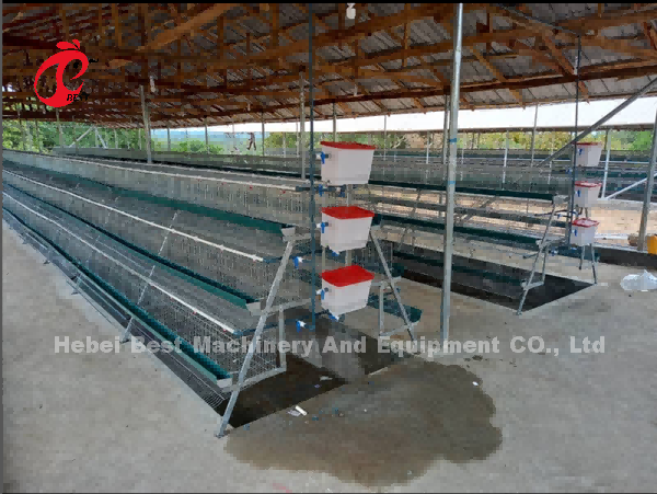 Тип 3 ярусы наслаивает звезду птиц 450cm2 клеток батареи 120 цыпленка