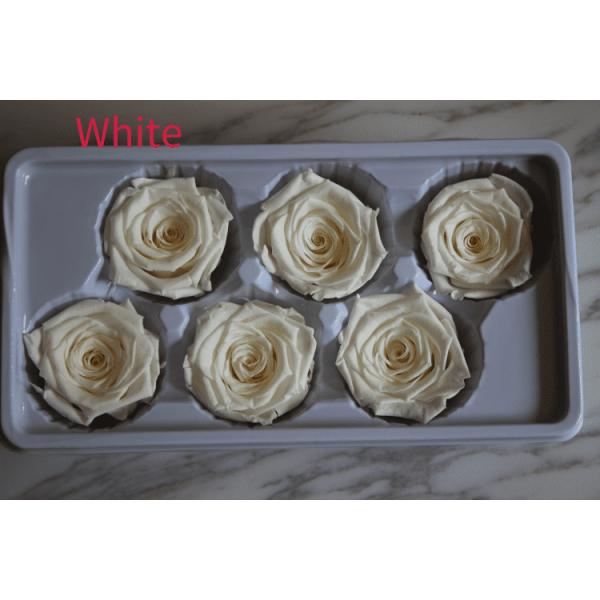beautiful preserved rose flower A grade stabilized rose preserved long lasting eternal rose 4-5cm