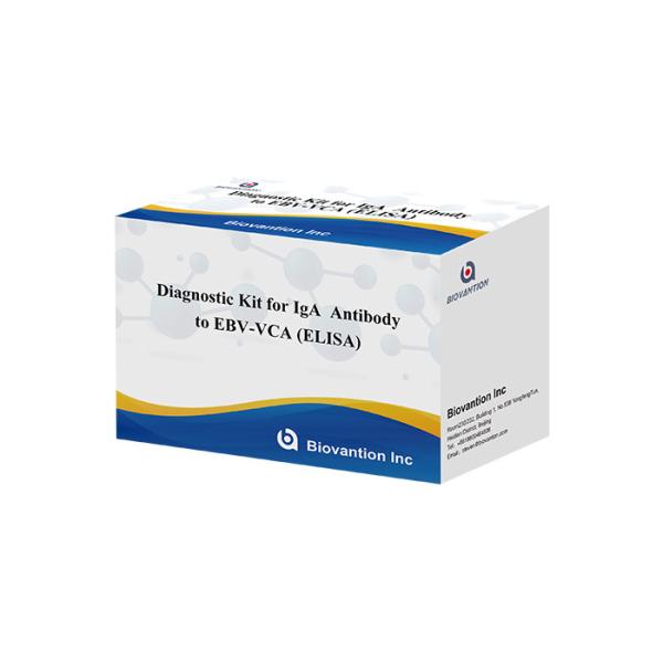 EBV-VCA IgA Ab Test ELISA Kit Enzyme Immunoassay Test Plasma Specimen