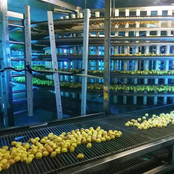                  Food Machine Industrial Bakery Production Line Spiral Cooler Spiral Freezer and Chiller Cooling Tower             