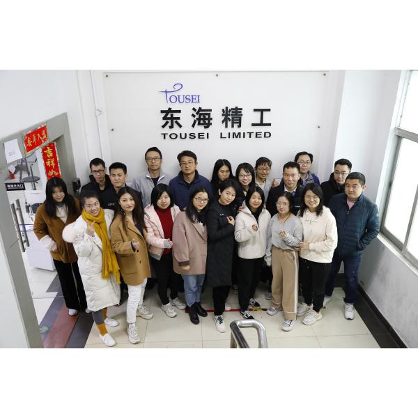 Shenzhen Tousei Technology Co., Ltd.