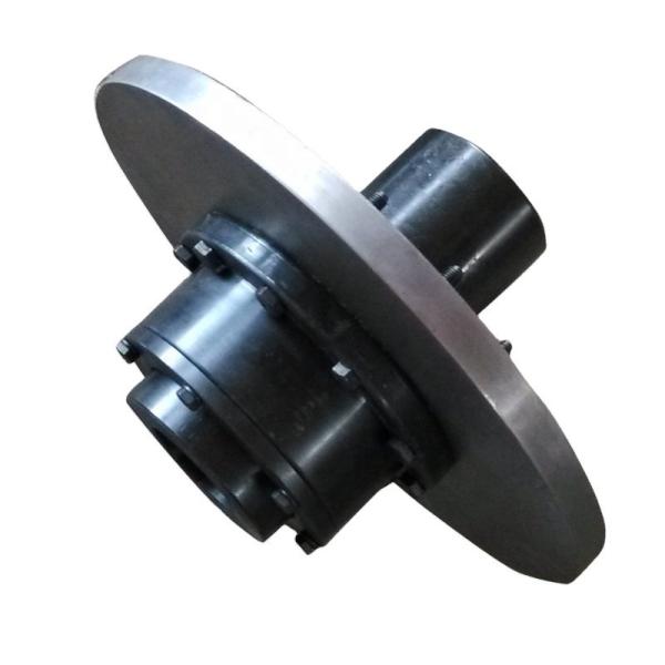 WGP  315mm Drum Gear Flexible Coupling With Brake Disc for Heavy industrial equipment