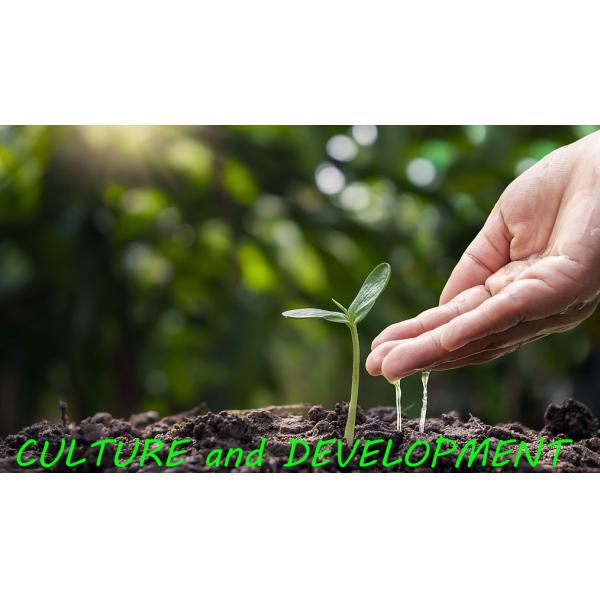 Qingdao Wanyuan Environmental Technology Co.,Ltd.