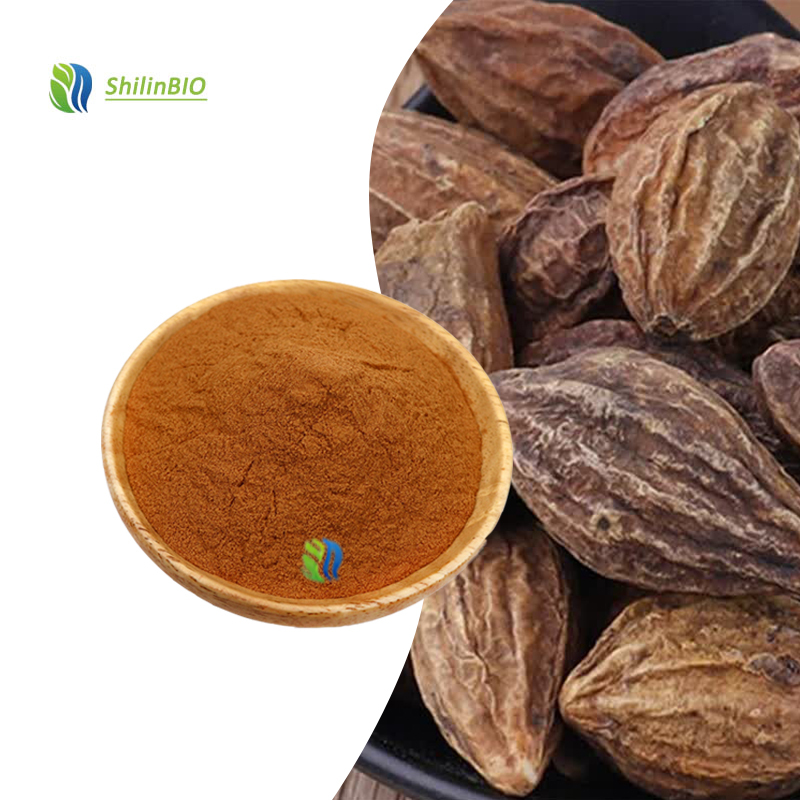 SLBIO Supply High Quality 10:1 Terminalia Chebula Extract Powder ISO/HACCP