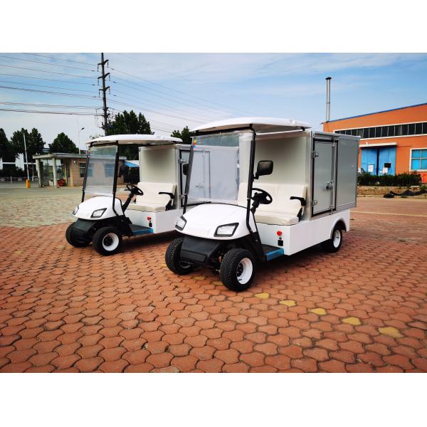 Classic Two Seater Electric Lithium Battery Golf Van Special Vehicle Supports Customization