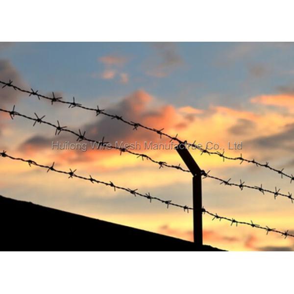 Hot Dipped Galvanised barbed wire for security defence