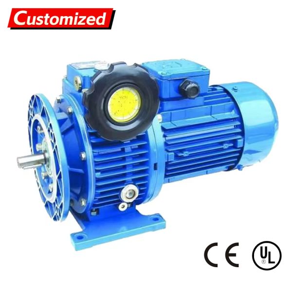 Cycloidal Gear Reducer with High Reduction Ratio Compact Structure and Strong Load Capacity Adjustable Speed Gear Motor