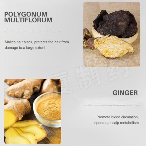 Hair Shampoo Hair Hair Conditioner Shampoo Hair Care Products 100% Pure Natural Hair Shampoo Anti-hair Loss Ginger Shamp