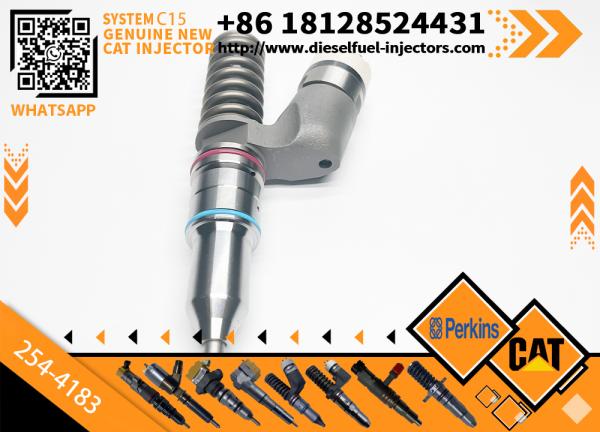 254-4183 294-3500 Injecteur de carburant pour le rail commun Pour moteur Caterpillar C15 C18 2544183 2943500 Ensemble d'injecteurs diesel