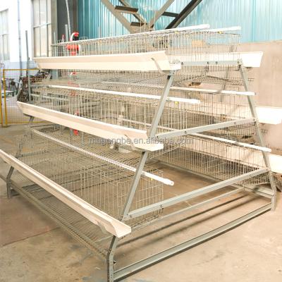 Layer Chicken Cage Battery Cages Laying Hens a Type Poultry Farm