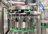 La petite pulpe 4.23KW portent des fruits Juice Production Line/machine de développement