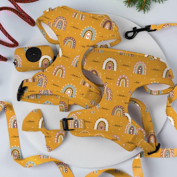 Reversible Small Dog Harness And Leash Set Luxury Fashion Dog Walk Set