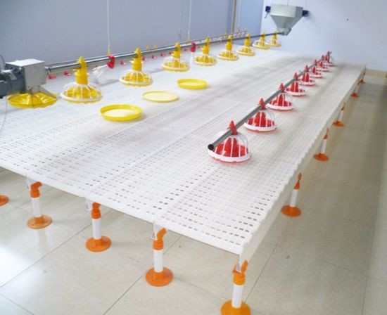 Настил предкрылка птицы пола сетки оборудования цыпленка пластиковый