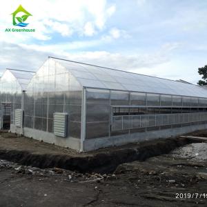 o anti policarbonato da estufa da neve 1.2g/Cm2 cobre os painéis gêmeos do