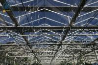 Agriculture Vegetable Flower Glass Greenhouse Farm Commercial Greenhouse Structures