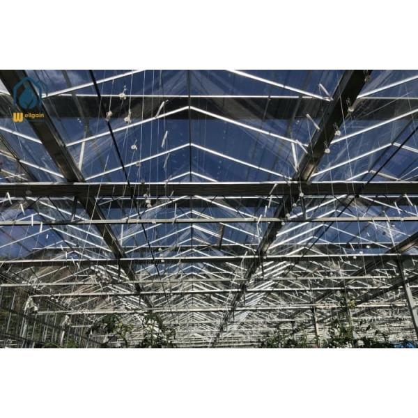Customized Glass Commercial Greenhouse Vegetables Flowers Seedlings Green House
