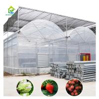 Invernadero para el cultivo de fresas con sistema de sombreado