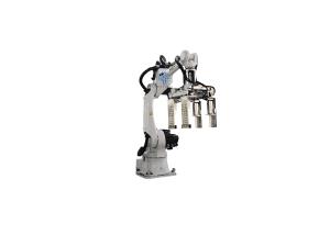 Safety Robotic Case Packer Case Packer Machine Operations