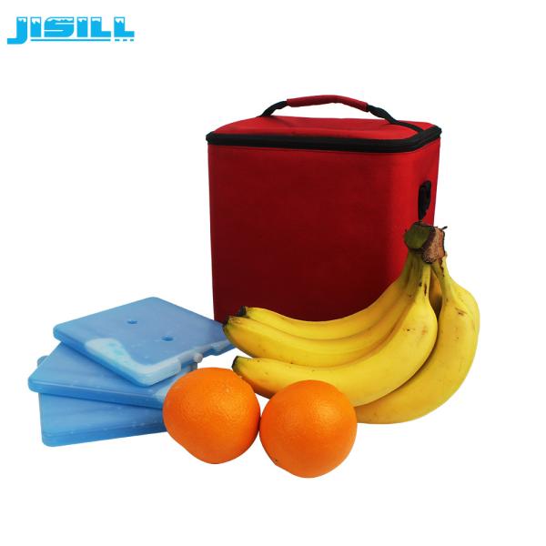 O congelador do saco do almoço do HDPE do serviço do OEM embala 16x16x1.4cm não cáustico