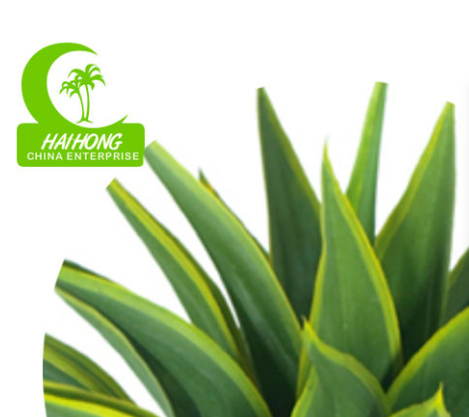 Anti UV Artificial Succulent Plant Landscaping Tropical Fiber Agave