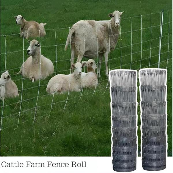 2.0mm High Tensile Wire Galvanized Fixed Knot Cattle Farm Fence Roll 50m Length for Ranch