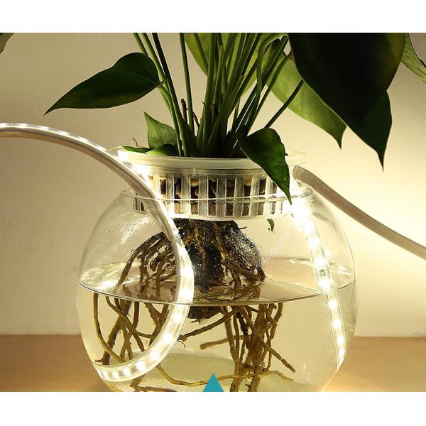 15kg Product Weight Festival Strip Light 3 2835 2700k 24v 12v SMD 2835 LED Strip